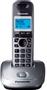 PANASONIC Kx-Tg2511 Dect Telephone  (KX-TG2511PDM)