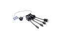 SUPERIO Adapter Ring 4xAdapter Pigtail DP MiniDP MiniHDMI MicroHDMI