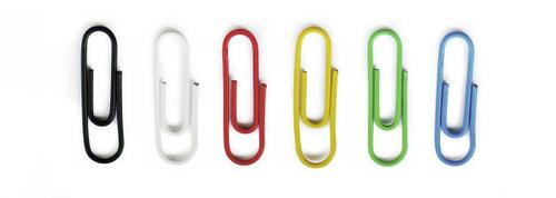 DURABLE Paper Clip 100 Pc(S) (125300)
