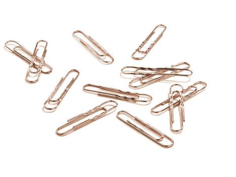 DURABLE Paper Clip 100 Pc(S) (121224)