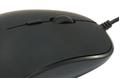 CONCEPTRONIC Mouse Ambidextrous Usb Type-A (REGAS01B)