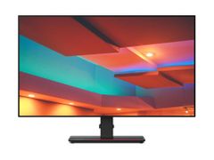 LENOVO ThinkVision P27q-20 - LED monitor - 27" - 2560 x 1440 QHD - IPS - 350 cd/m² - 1000:1 - 4 ms - HDMI, DisplayPort - raven black