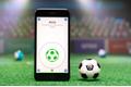 SPHERO Mini Soccer | Football App-Enabled Robot M001SRW White/ black (M001SRW)