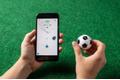 SPHERO Mini Soccer | Football App-Enabled Robot M001SRW White/ black (M001SRW)