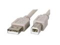 ZEBRA USB INTERFACE CABLE 10FT (A TO B) CABL