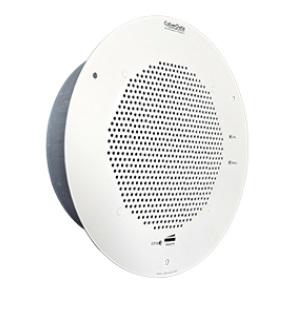 CYBERDATA SIP Speaker - Gray White (RAL 9002) Replaces 011098 (011393)