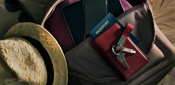 SanDisk 256GB Ultra Dual Drive Luxe - USB Type-C/ Type-A (SDDDC4-256G-G46)