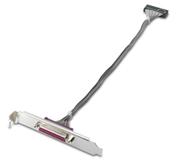 HP Parallel Port Adapter - parallelladapter - IEEE 1284 (KD061AA)