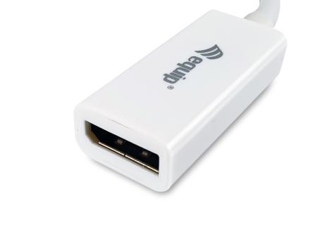 EQUIP Mini Displayport To (133440)