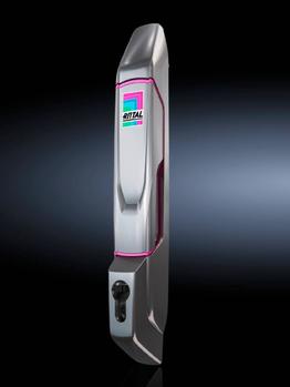 RITTAL 8618.280 Rack Accessory Door  (8618280)