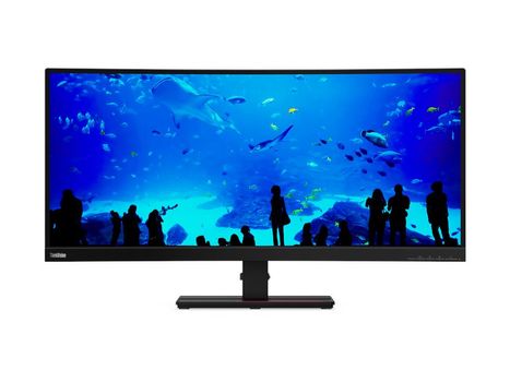 LENOVO ThinkVision T34w-20 34inch UltraWide QHD 3440 x 1440 DP/ HDMI/ USB-C (61F3GAT1EU)