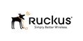Ruckus Wireless WatchDog Advance Replacement Renewal I100, 1 Year