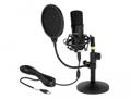 DELOCK Professional USB Condenser Microphone Set for Podcasting/Gaming