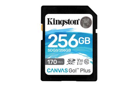 KINGSTON Canvas Go! Plus SD-card - 170/90MB - 256GB (SDG3/256GB)