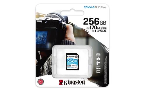 KINGSTON 256GB SDXC Canvas Go Plus 170R C10 UHS-I U3 V30 (SDG3/256GB)