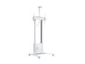 MULTIBRACKETS M Motorized Floorstand Inc cabinet & camerashelf 120kg