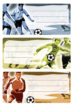 HERMA stickers Vario book label football (3) (5598*10)