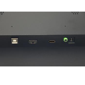 HANNSPREE HO165PTB 15.6 1920 x 1080 VGA (HD-15) HDMI DisplayPort 60Hz (HO165PTB)