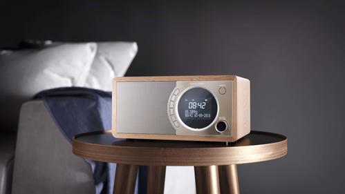 SHARP Digital Radio Brown DR-450(BR) (DR-450(BR))