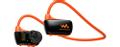 SONY Walkman Waterproof & Wireless (NWZW273SD.CEW)