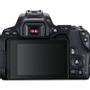 CANON EOS 250D KIT (18-55mm III), digital camera (black, incl. Canon lens) (3454C003)