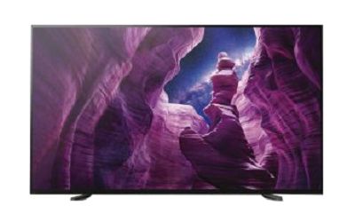 SONY 4K Android 65 BRAVIA with Tuner (FWD-65X95H/T)