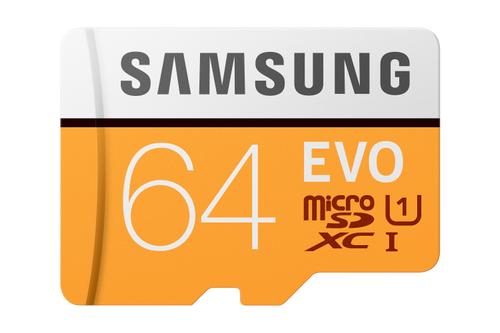 SAMSUNG Evo 64 Gb Microsdxc Uhs-I  (MB-MP64HA/EU)