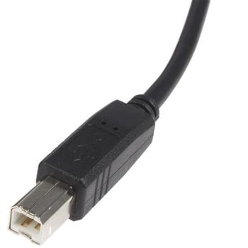 STARTECH 6 ft USB 2.0 Certified A to B Cable M/M (USB2HAB6            )