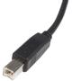 STARTECH 6 ft USB 2.0 Certified A to B Cable M/M (USB2HAB6            )