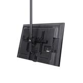 StarTech Ceiling TV Mount - 8.2' to 9.8' Long Pole - Full Motion - Supports Displays 32" to 75" - For VESA Mount Compatible TVs (FPCEILPTBLP) brakett - for flatpanel - svart (FPCEILPTBLP)