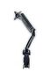 HANNSPREE Dis HANNspree Zub Desk Mount Arm for Monitors 2