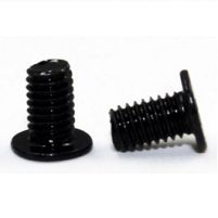 ACER Screw P1 6L3 Black (86.L4JN9.003)