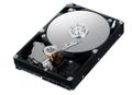 DELL 1 TB Sata 7.2K 3,5 HD Hot Plug
