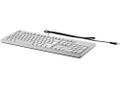 HP USB (Grey) Keyboard (EN)