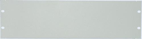 INTELLINET - Tomt panel - grå, RAL 7035 - 4U - 19 (712408)