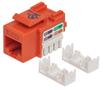 INTELLINET Keystone Jack Cat5 Punch-down UTP orange