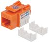INTELLINET Keystone Jack Cat6 UTP RJ45 punch-down orange