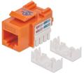 INTELLINET Keystone Jack Cat6 UTP RJ45 punch-down orange