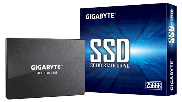 GIGABYTE Internal Solid State Drive (GP-GSTFS31256GTND)