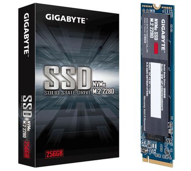 GIGABYTE Internal Solid State Drive  (GP-GSM2NE3256GNTD)