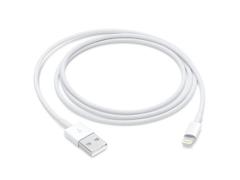 APPLE LIGHTNING TO USB CABLE (0.5 M)                          ML CABL (ME291ZM/A $DEL)