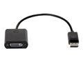 HP P DisplayPort To DVI-D Adapter