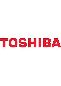 TOSHIBA Waste Toner Bottle (6B000000945)