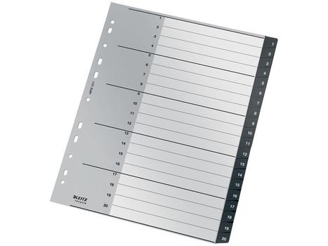 LEITZ Plastregister LEITZ recycle A4 1-20 (12110000*10)