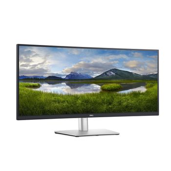 DELL P3421W - LED monitor - curved - 34.14" - 3440 x 1440 WQHD @ 60 Hz - IPS - 300 cd/m² - 1000:1 - 5 ms - HDMI, DisplayPort,  USB-C - with 3 years Advanced Exchange Basic Warranty - for Latitude 54XX, 55 (DELL-P3421WM)