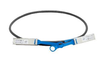 INTEL 100FRRA0100 networking cable (100FRRA0100)