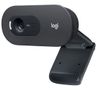 LOGITECH C505E - BLK - WW . CAM (960-001372)