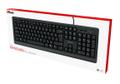 TRUST PRIMO KEYBOARD (24145)