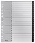 LEITZ Recycle Polypropylene Index 1-20 A4 12110000 (12110000)