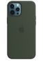 APPLE iPhone 12 Pro Max Sil Case Cyprus Gr